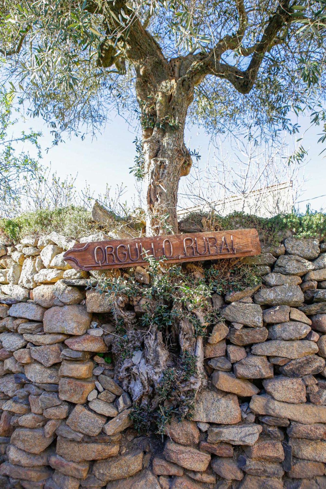Casa Rural Therma Agreste Bermellar Ngoại thất bức ảnh